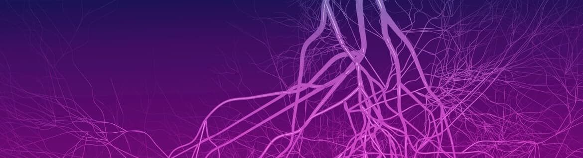 иллюстрации кровеносных сосудов