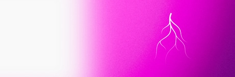 Значок «венозная система»