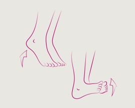 Раскачивание с пятки на носок, иллюстрирующее упражнение 1 гимнастики для вен